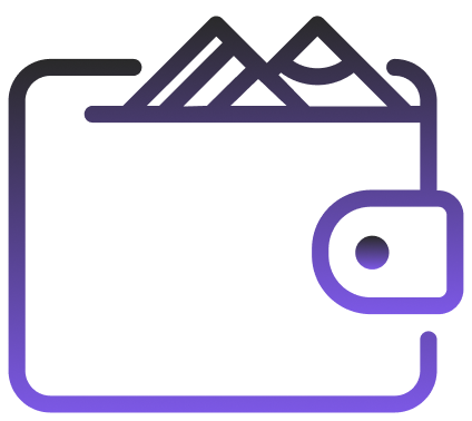 Wallet & Payment Insights